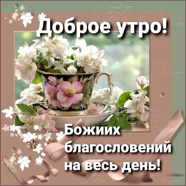 Красивые картинки Доброе утро ☀️☕ 618 шт