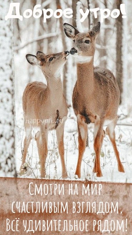 ❤️Доброе утро!❤️Пусть день будет ясным 