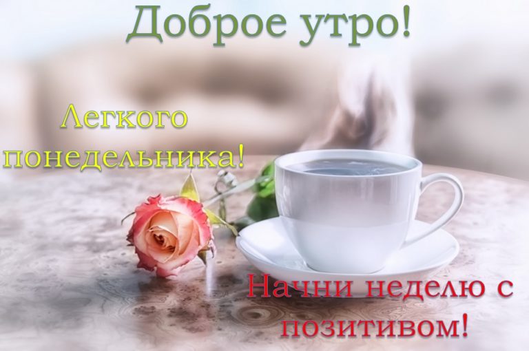 доброеутро #понедельник#начало #новой#недели 