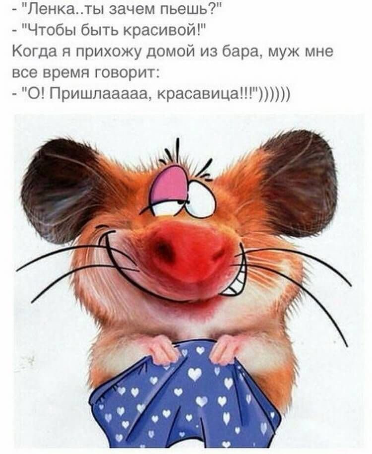 Прикольные картинки для поднятия настроения 🙃😅