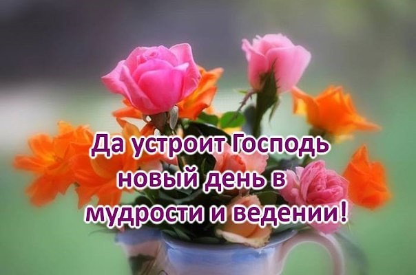 🌞🙏💓Доброго утра благословенного дня 