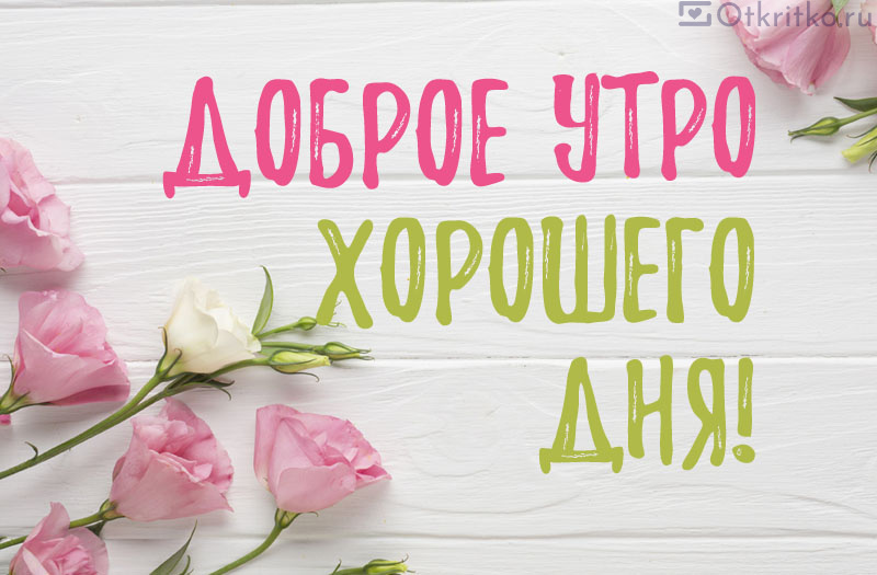 💗☕️Доброе Утро! Хорошего Дня!🌹Заряд Позитива на Весь День 