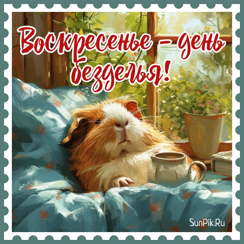 Доброе Воскресное Утро, Друзья! Очень 