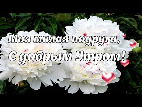 Доброе утро любимая