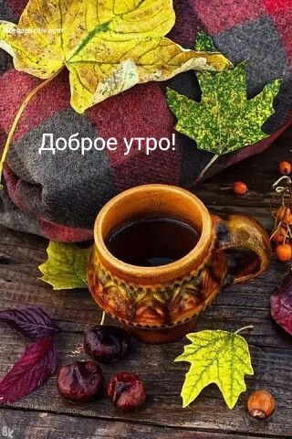 Скачать бесплатно открытки с добрым утром и хорошего дня