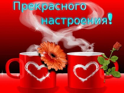 💗 Результаты поиска