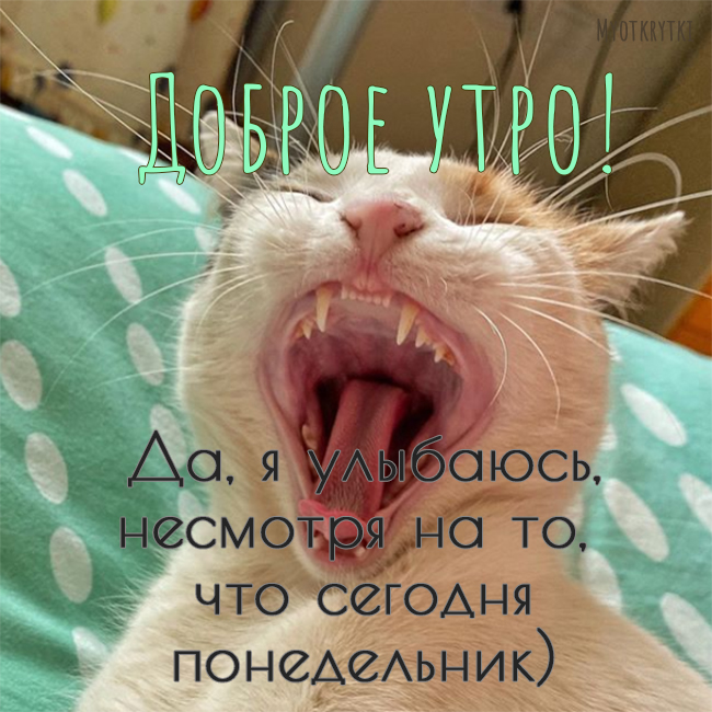 Доброе утро