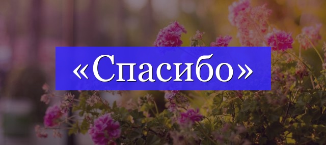 Рабочий лист по русскому языку Словарное слово Спасибо