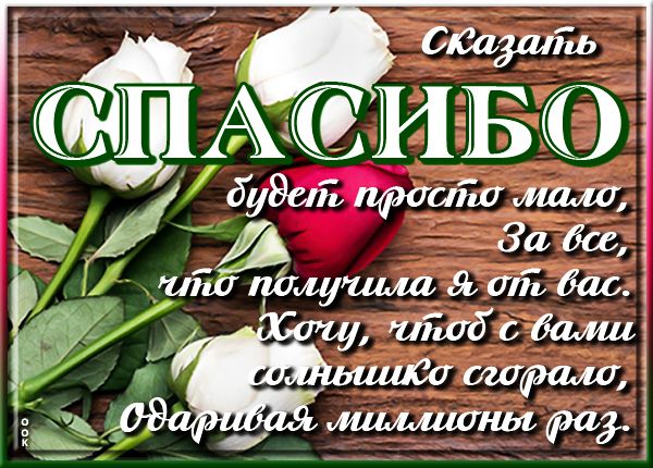 ❤ Спасибо всем вам, мои дорогие, за отзывы, за заказы, за 