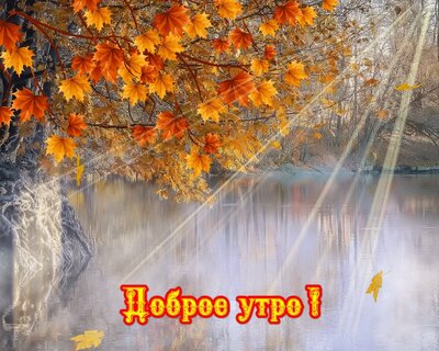 Доброе утро и благословенного дня! 90 