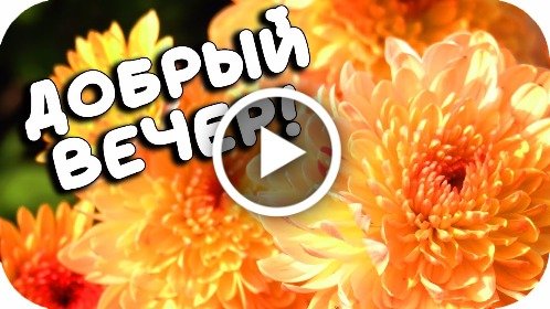 Открытки доброго вечера — скачать бесплатно картинки 