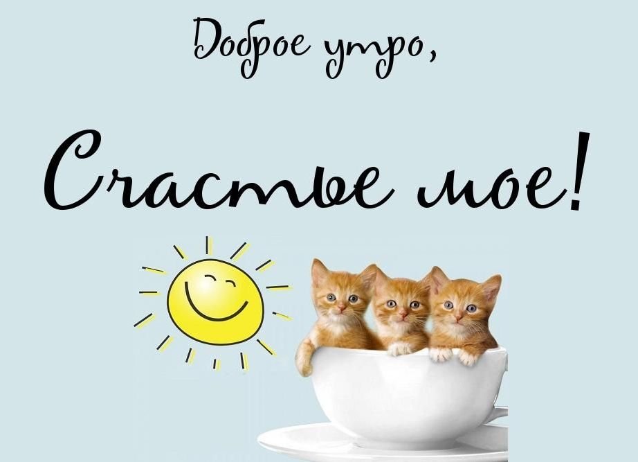 Доброе Утречко Мои Хорошие 😘♥️🤩 Желаю 