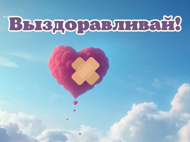 Новости / Александр Богомаз