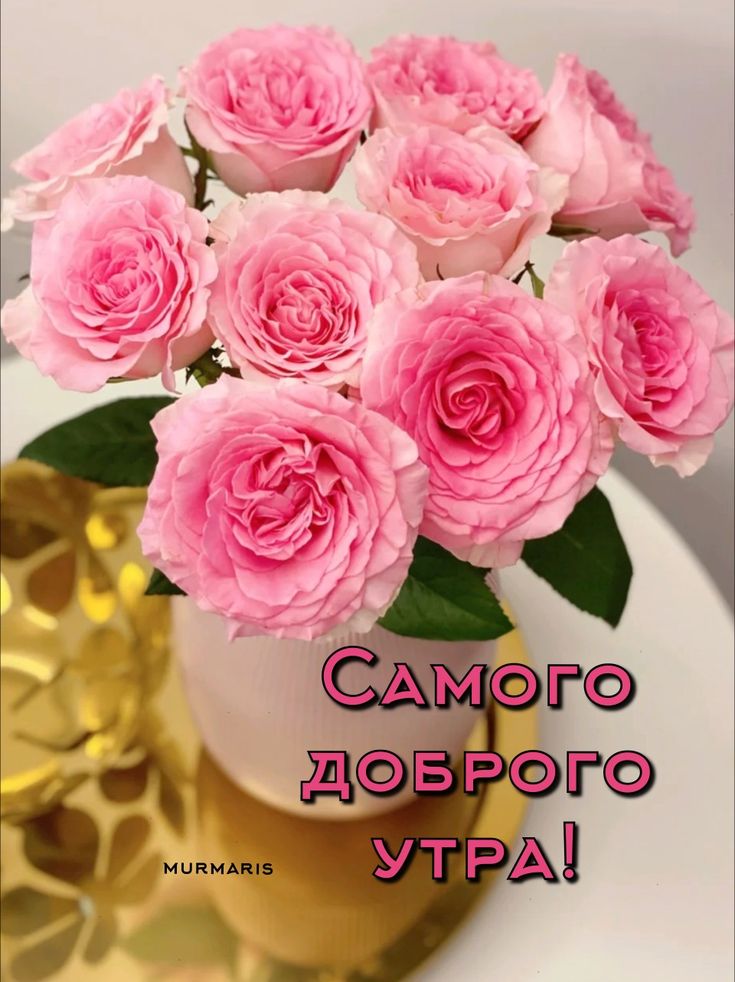 Доброе утро 🌹 С красивыми розами и 