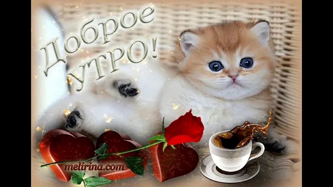 Доброе утро