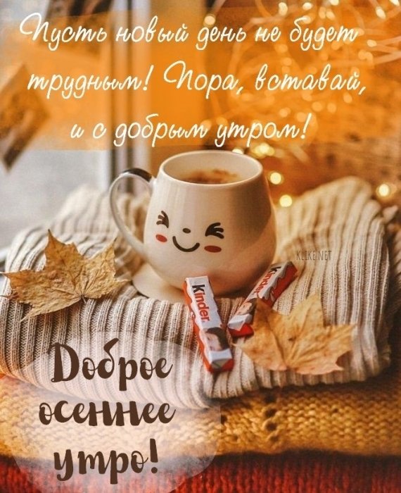 САМЫЕ КРАСИВЫЕ ПОЖЕЛАНИЯ ХОРОШЕГО ДНЯ!