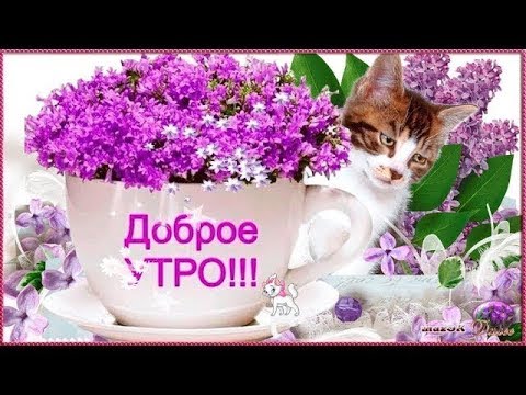 С Добрым Утром! Прекрасного Нового Дня 