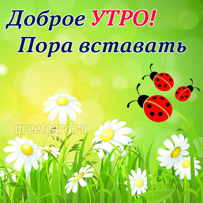 Доброе утро!!Отличного настроения на 