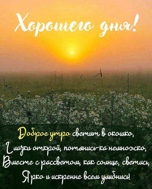 Доброе утро, Солнышко моё! Люблю тебя! 💋🌼❤️☕🌹🌹🌹