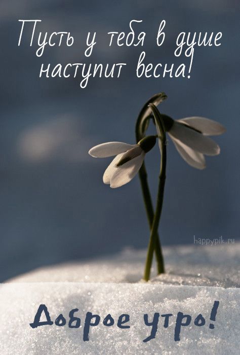 Spring надпись