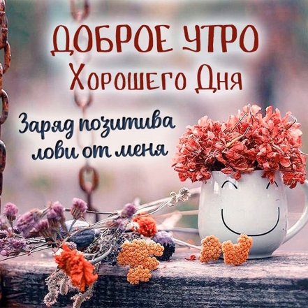 🌺🌿 ЯГОДКИ, ДОБРОЕ УТРО, ОТЛИЧНОГО ДНЯ 