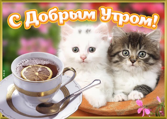 Открытка для любимых и родных Любимая Доброе утро