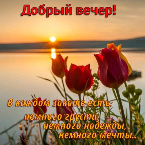 🌹Добрый вечер! 🌙 