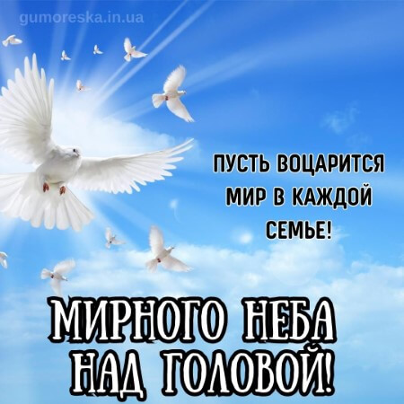 Доброе утро💙 Все защитников мы 