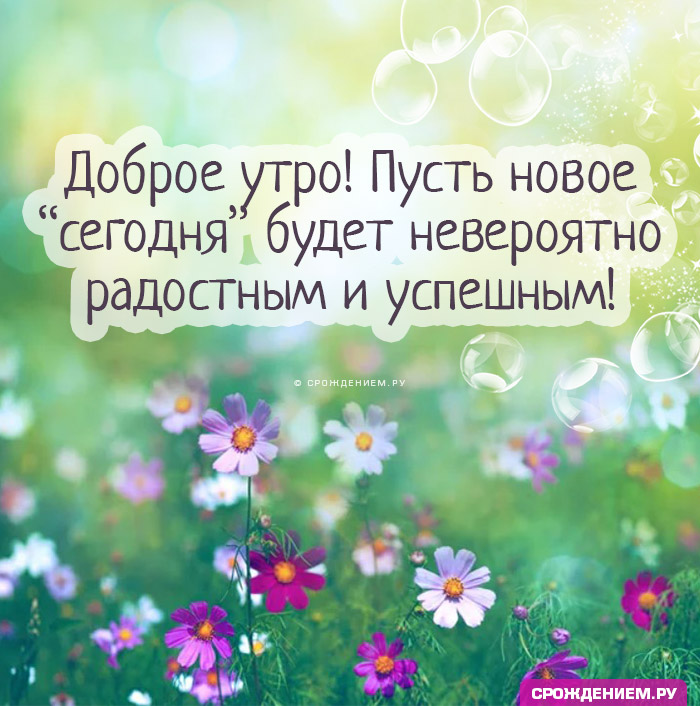 Доброе Утро от Марии Ивановой🌺 С добрым утром, с новым днём 