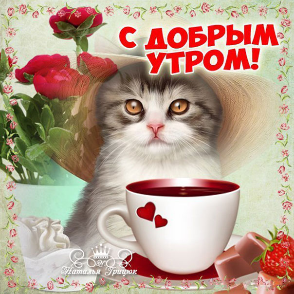 ❤️❤️❤️ Доброе утро, любимая ❤️❤️❤️ Самое красивое 