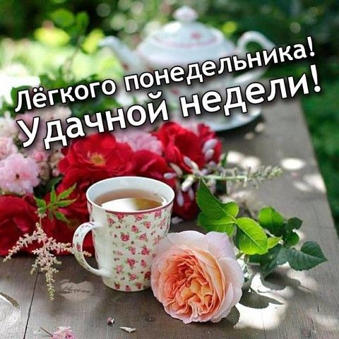 доброеутро #понедельник#начало #новой#недели 