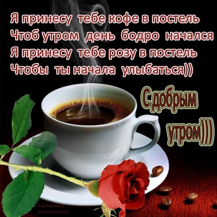 ♥️🌹♥️С добрым утром, мои Друзья 