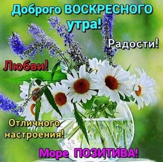 Доброе утро ! Хорошего дня и 