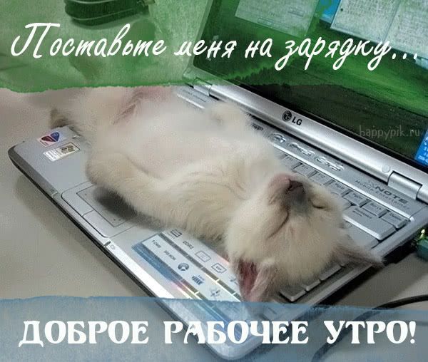 Открытки с доброе утро животные