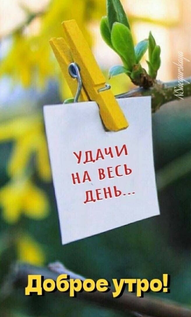 🌺☕️ С Добрым Утром Четверга! Позитивчик 