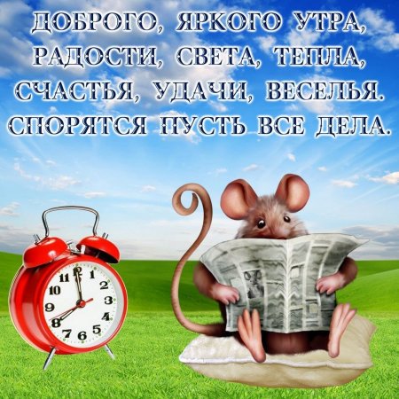 Доброе утро