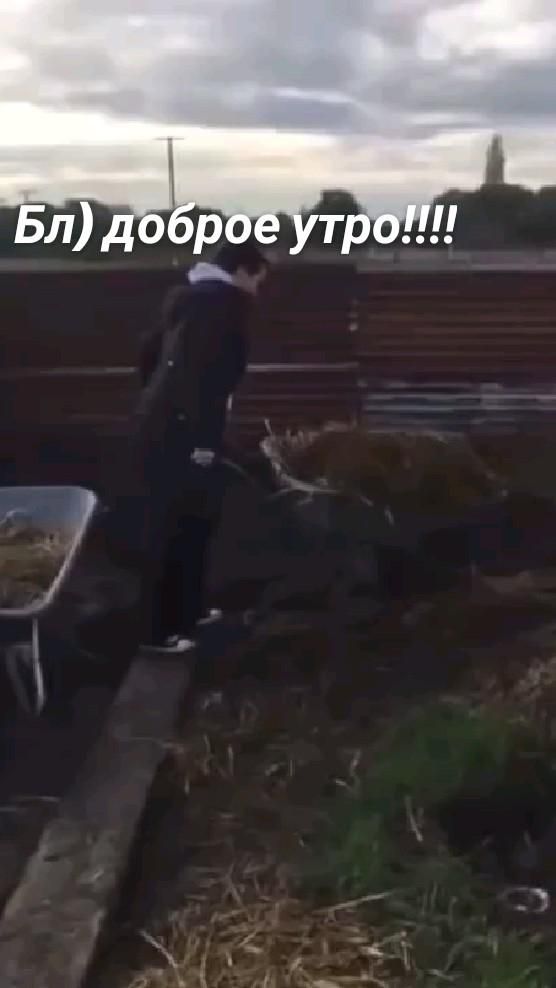 Доброе утро