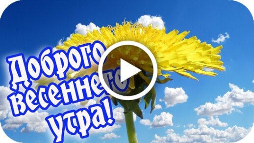 Красивые картинки С добрым утром прикольные весенние 