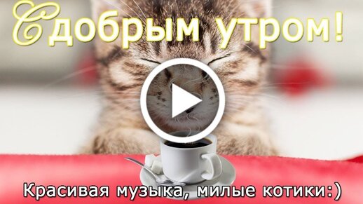 Открытки с Добрым утром — яркие картинки и пожелания хорошего 