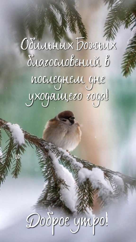 🌞🙏💓Доброго утра благословенного дня 