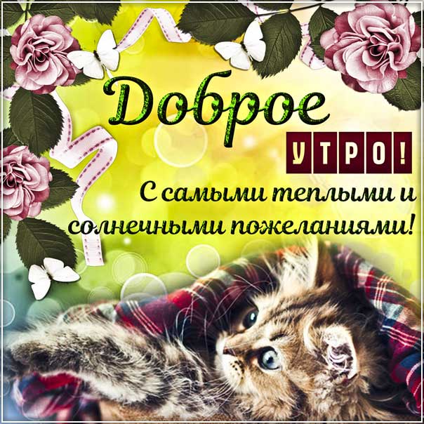 Умиротворяющая гиф-открытка Доброе утро 