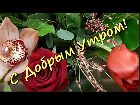 Картинки с надписями 