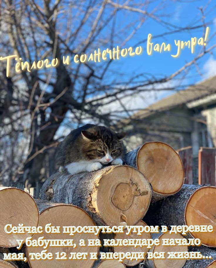 Доброе утро…