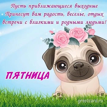 Сегодня Пятница 13