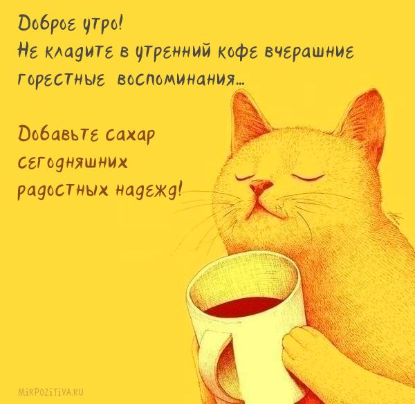 Кофе смешные