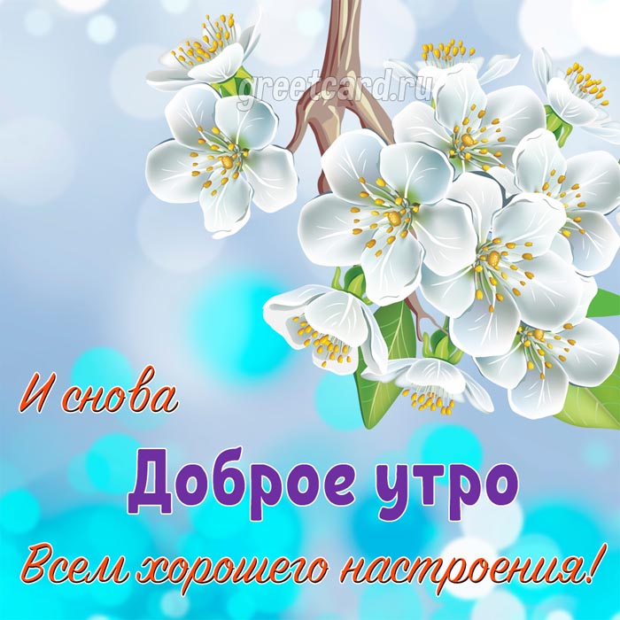 💌☀️😄 Картинки Хорошего дня