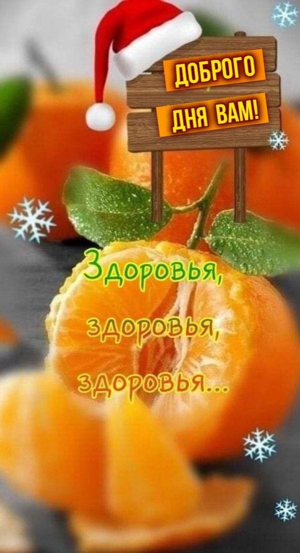 🌞🎄доброе утречко хорошего дня💗Желаю крепкого здоровья 