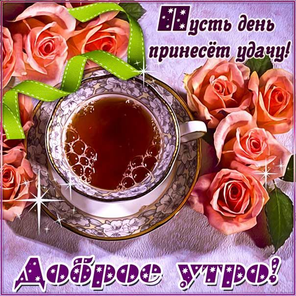 🌷Доброе утро, хорошего дня 