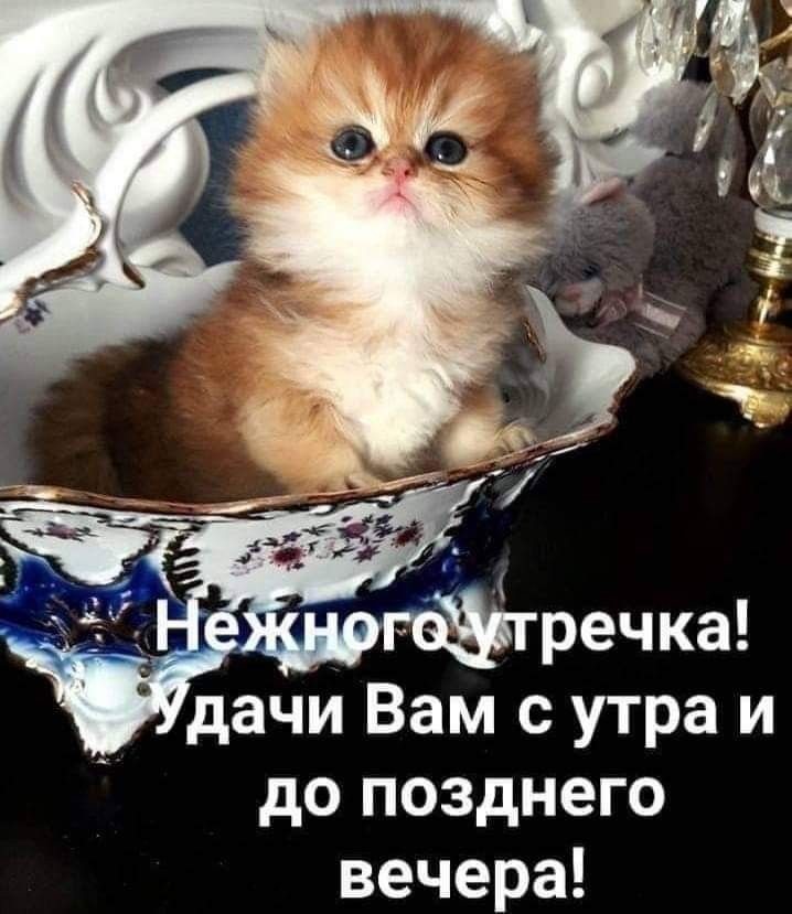 С добрым утром