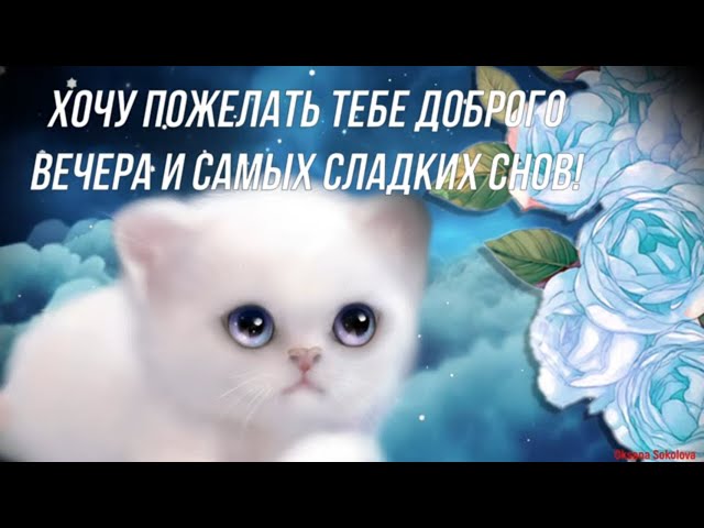 уютноговечера #спокойнойночи #добройночивам 